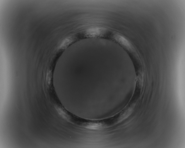 X0000085080458200703121706