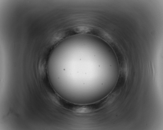 X0000085080460200703121706