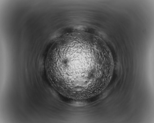 X0000085080466200703121707