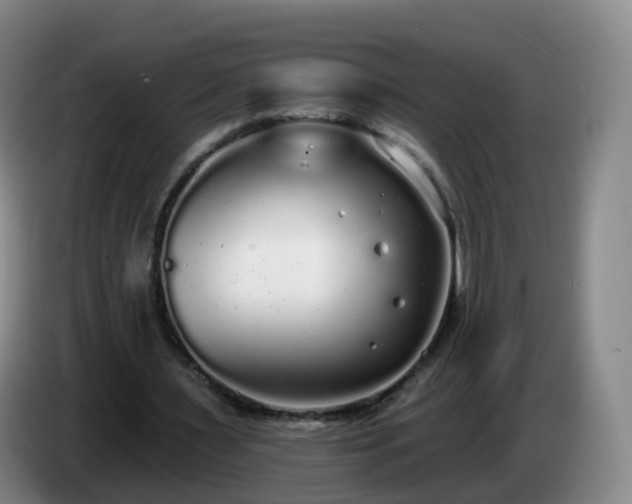 X0000085080483200703121706