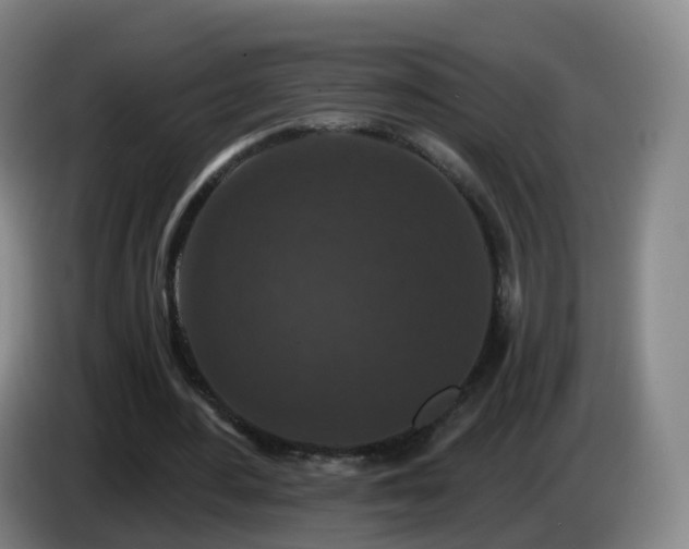 X0000085080484200703121706