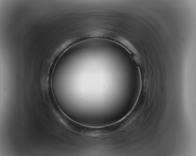 X0000085080485200703121706