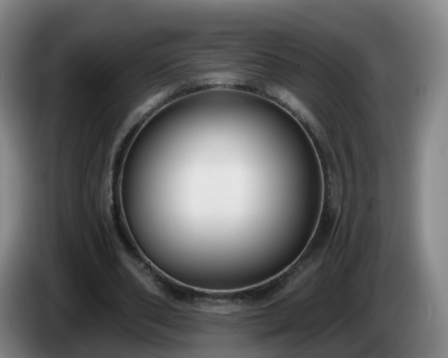 X0000085080486200703121706