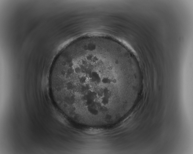 X0000085080487200703121706