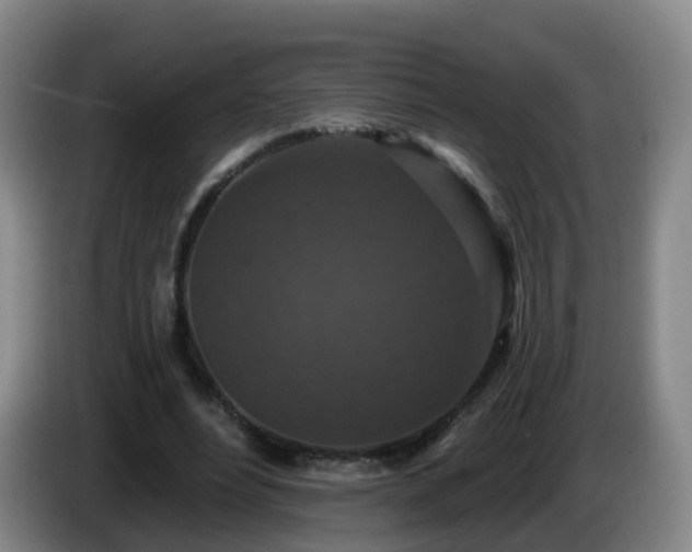 X0000085080488200703121706