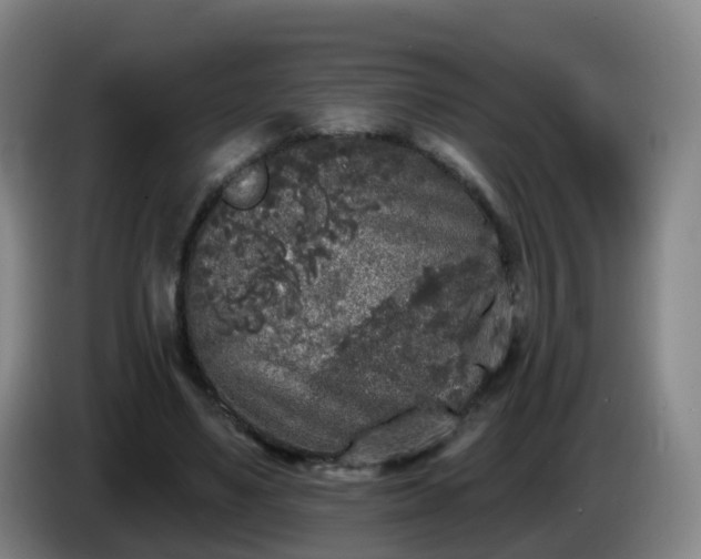 X0000085080491200703121706