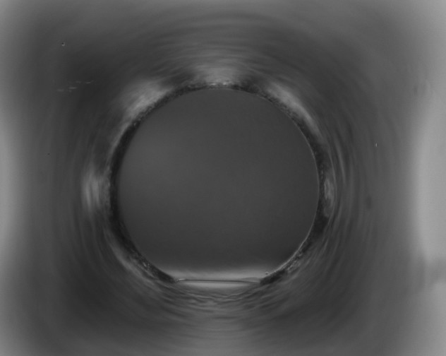 X0000085080492200703121706