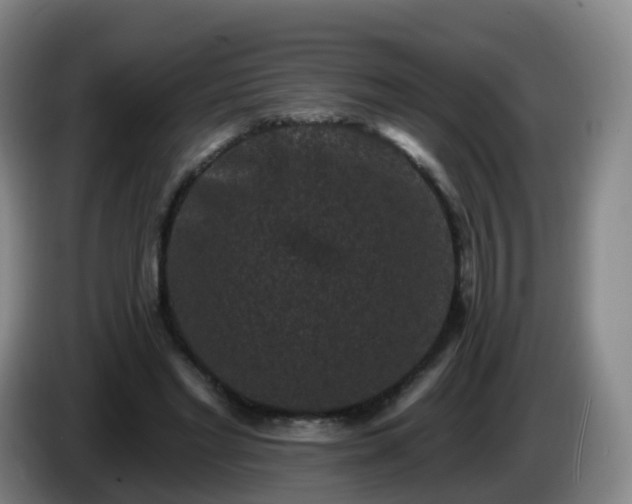 X0000085080493200703121706