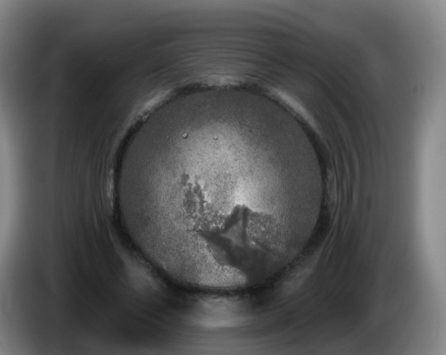 X0000085080494200703121706