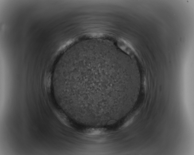 X0000085080495200703121706