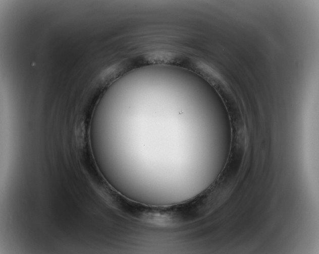 X0000085080498200703121706