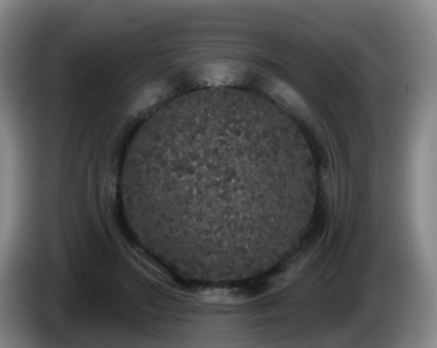 X0000085080499200703121706