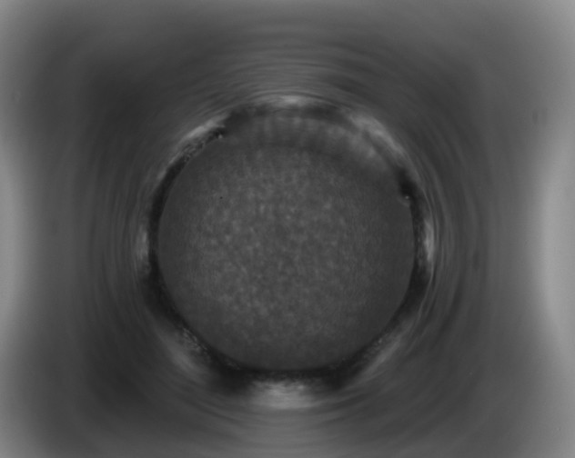 X0000085080500200703121706