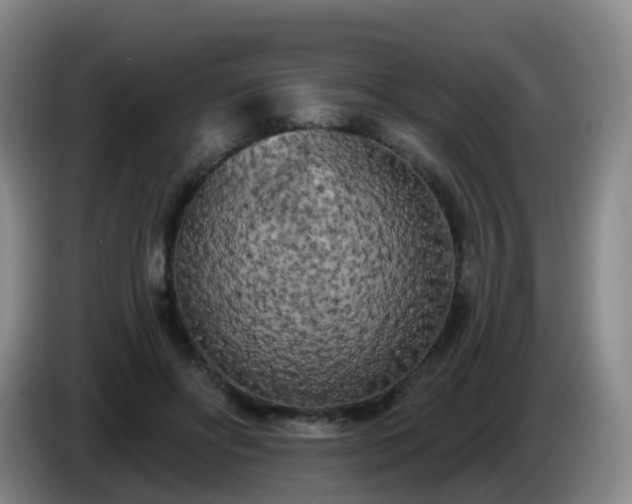 X0000085080502200703121706