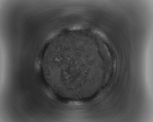 X0000085080503200703121706