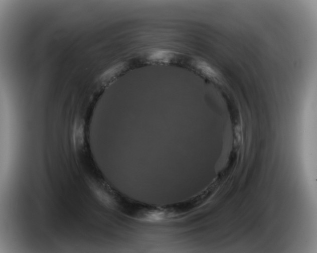 X0000085080504200703121706