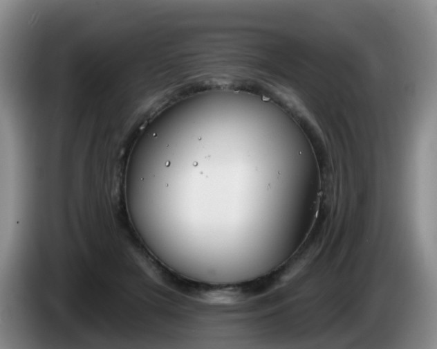 X0000085080505200703121706