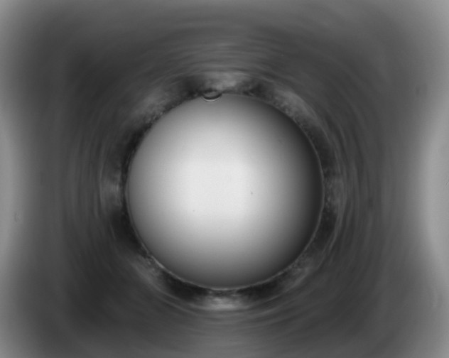 X0000085080510200703121706