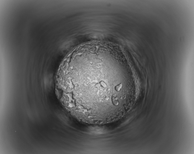 X0000085080511200703121706