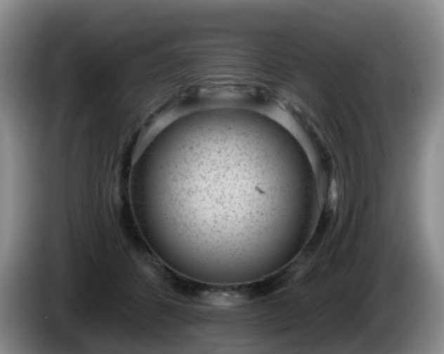 X0000085080512200703121706