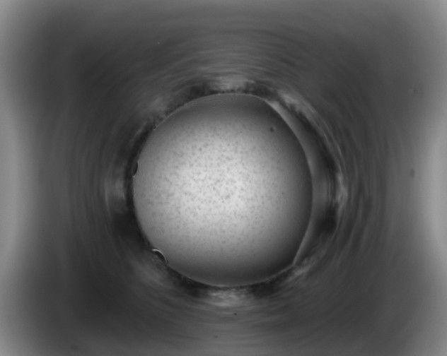 X0000085080516200703121706