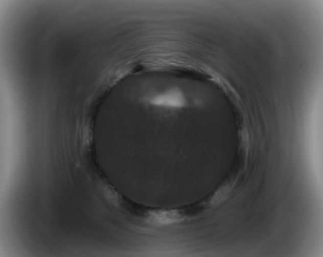 X0000085080517200703121706