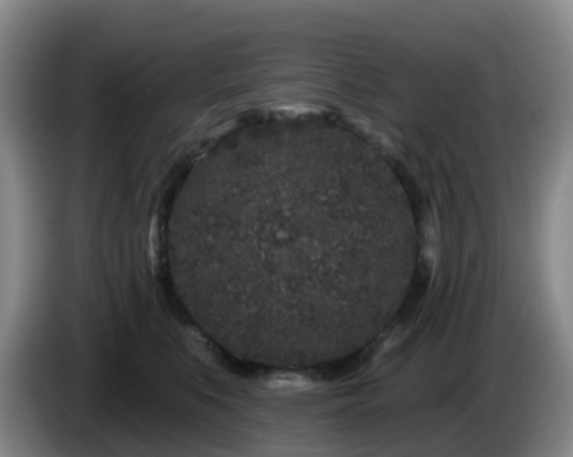 X0000085080519200703121706