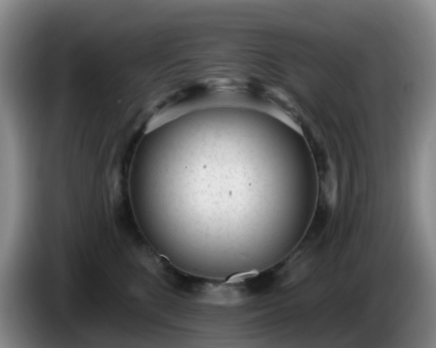 X0000085080520200703121706