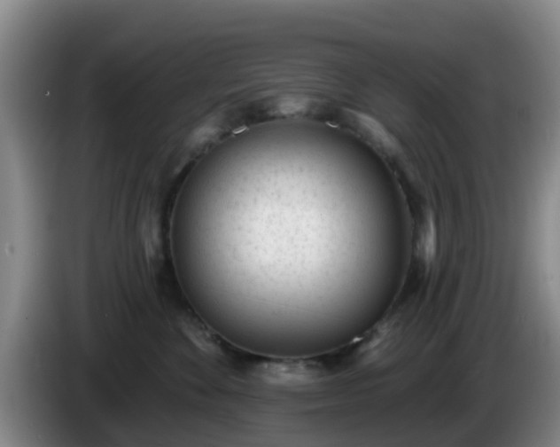 X0000085080524200703121706