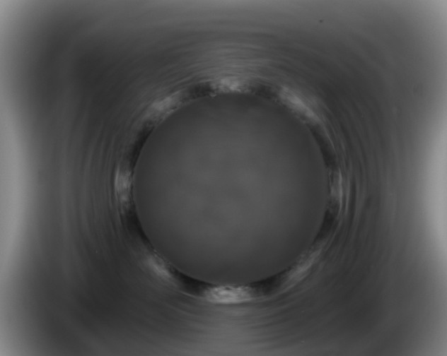 X0000085080526200703121706