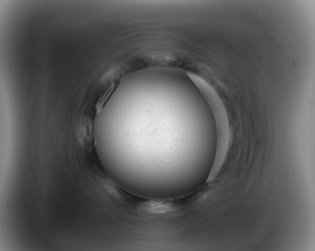 X0000085080528200703121705