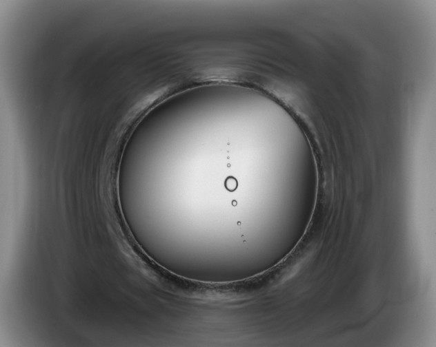 X0000085080529200703121705