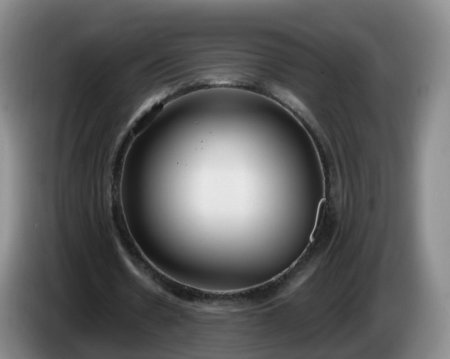 X0000085080530200703121705