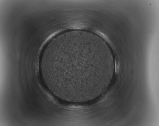 X0000085080531200703121705