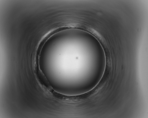 X0000085080532200703121705