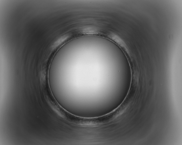 X0000085080533200703121705