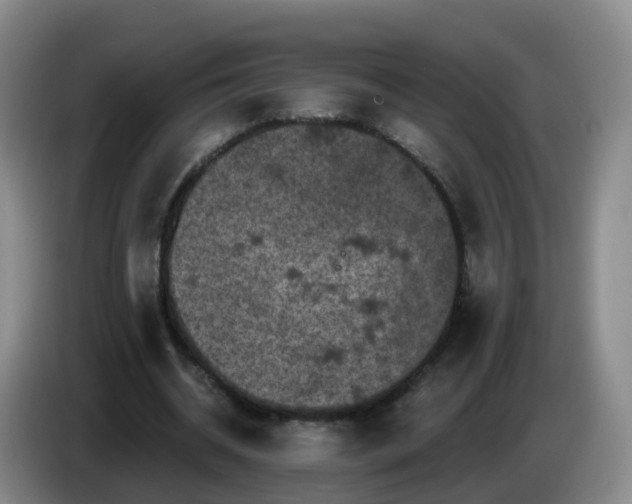 X0000085080534200703121705