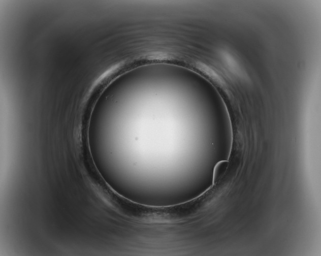 X0000085080535200703121705