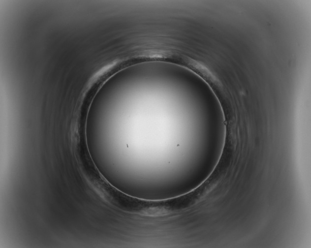 X0000085080536200703121705