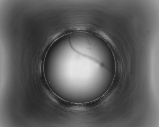 X0000085080537200703121705