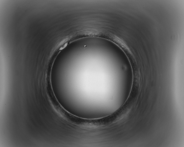 X0000085080538200703121705