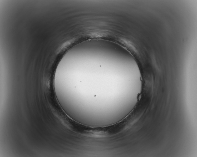 X0000085080539200703121705