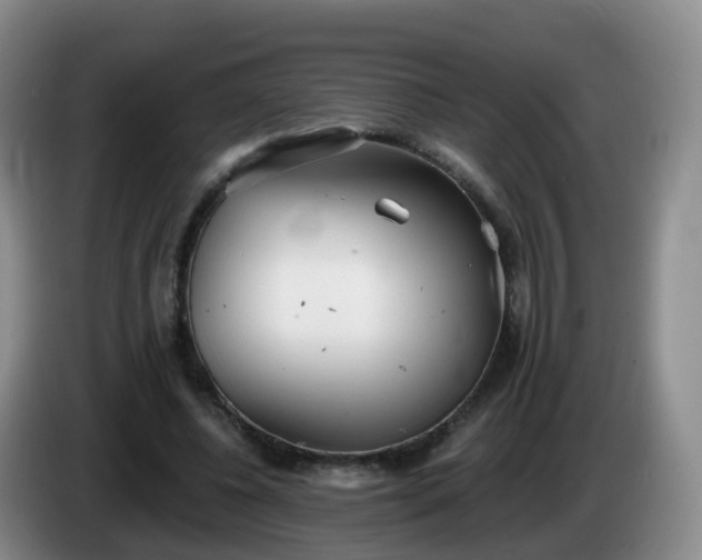 X0000085080540200703121705