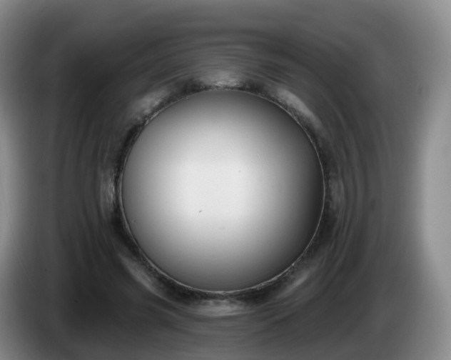 X0000085080541200703121705