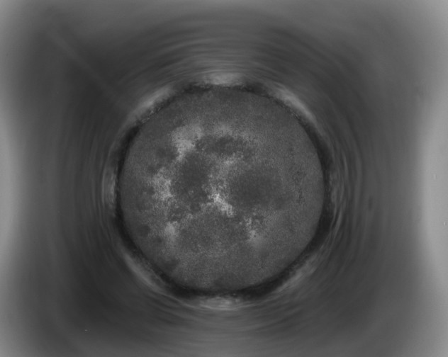 X0000085080542200703121705