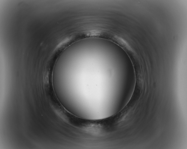 X0000085080543200703121705