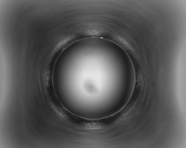 X0000085080544200703121705