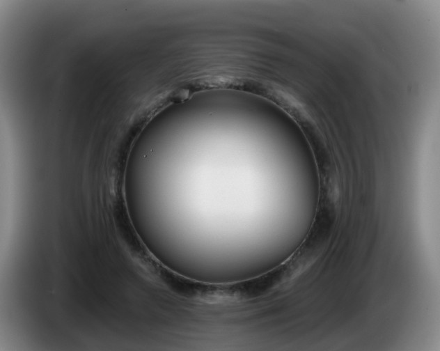 X0000085080546200703121705