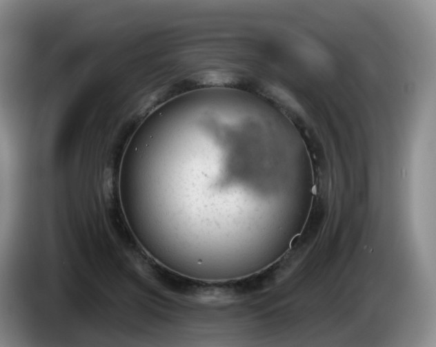 X0000085080549200703121705