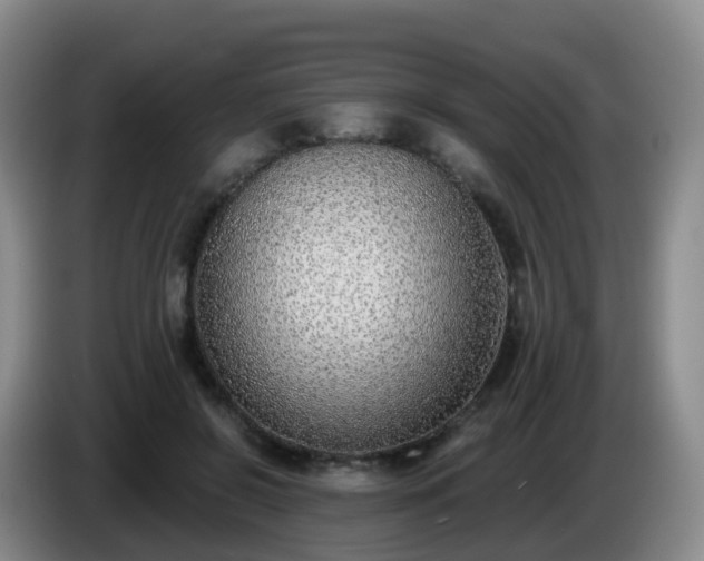 X0000085080550200703121705